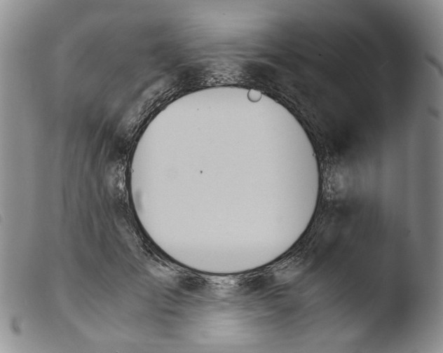 X0000103500701200810241125