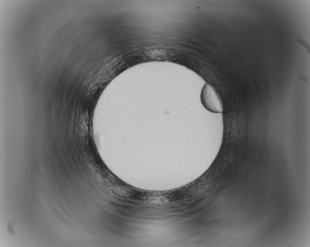 X0000103500702200810241125