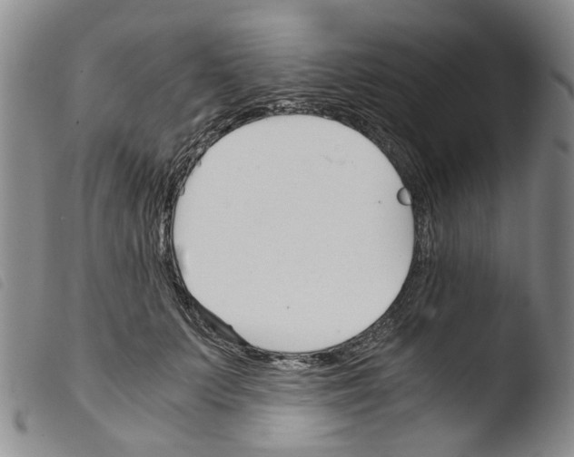 X0000103500703200810241125