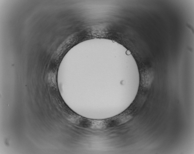 X0000103500705200810241125