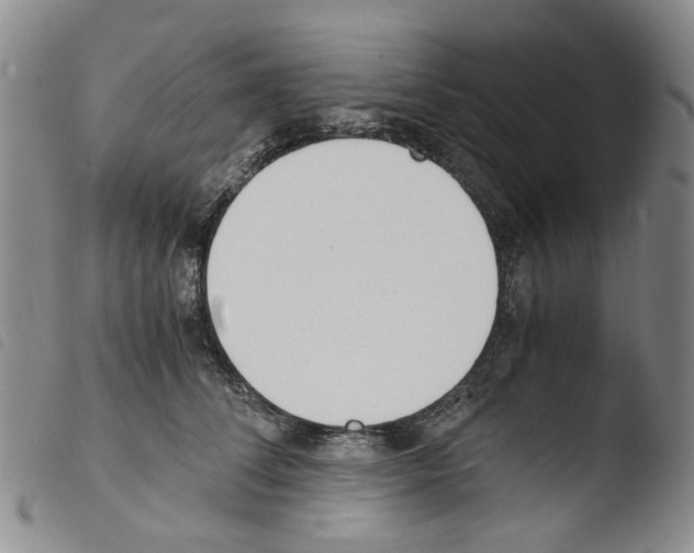 X0000103500708200810241125