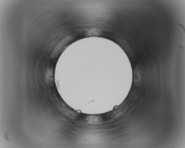 X0000103500714200810241125