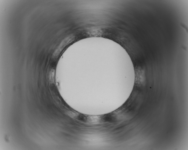 X0000103500717200810241125