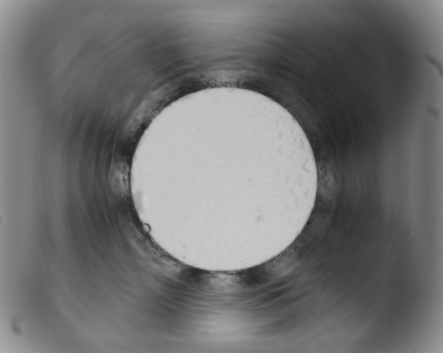 X0000103500718200810241125