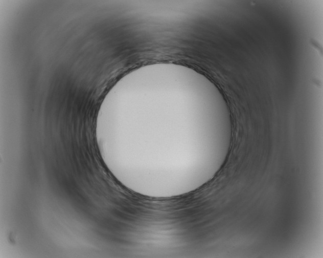 X0000103500720200810241125