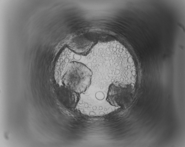 X0000103500721200810241124