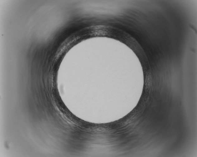 X0000103500722200810241124