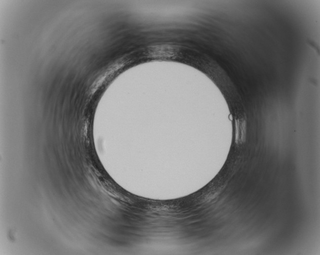 X0000103500723200810241124