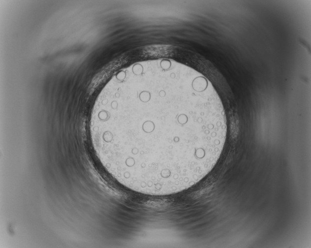 X0000103500725200810241124