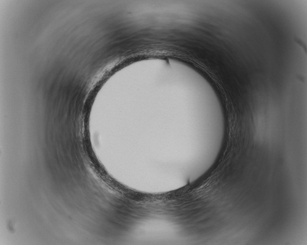 X0000103500726200810241124