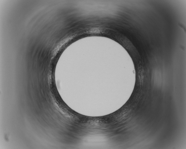 X0000103500728200810241124