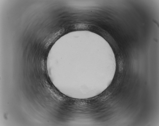 X0000103500729200810241124