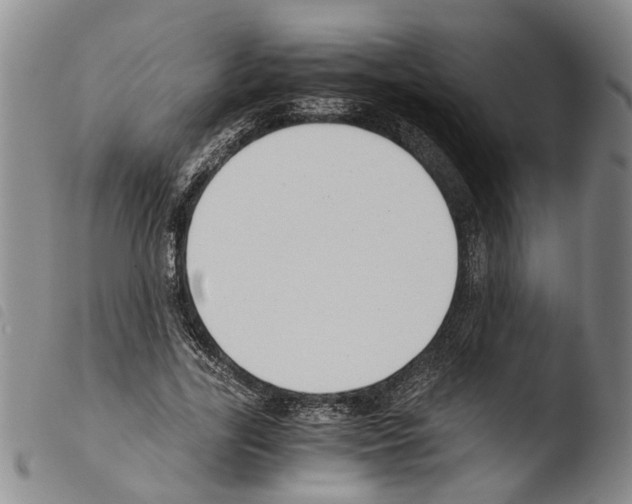 X0000103500731200810241124