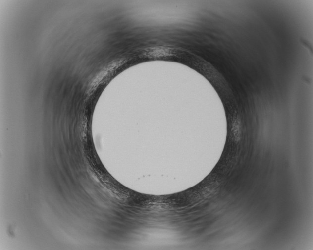 X0000103500732200810241124