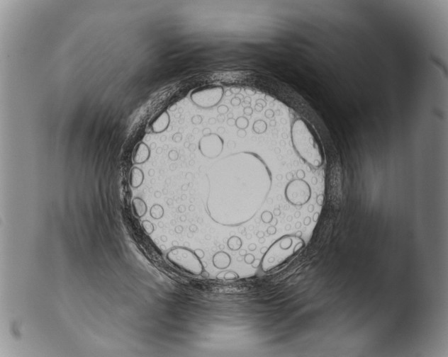 X0000103500734200810241124