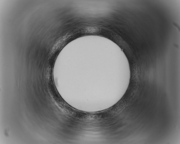 X0000103500736200810241124