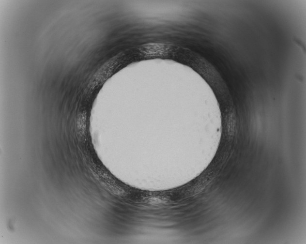 X0000103500737200810241124