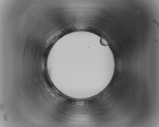 X0000103500740200810241124