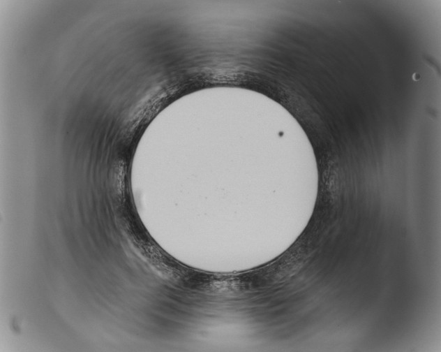 X0000103500744200810241124