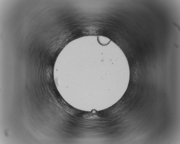 X0000103500747200810241124