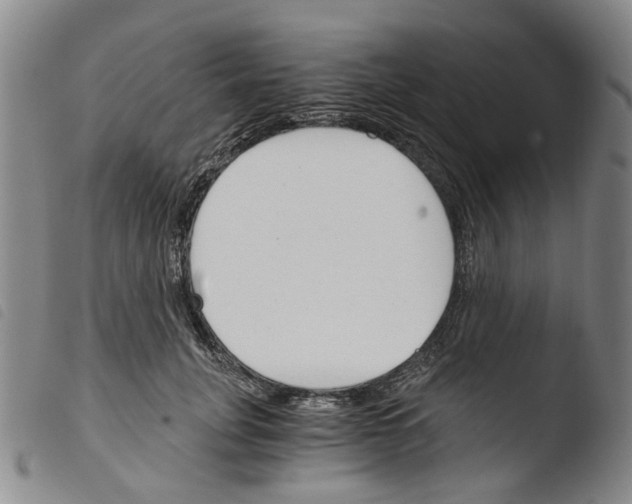 X0000103500751200810241124