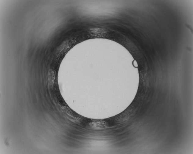 X0000103500752200810241124