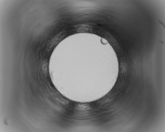 X0000103500753200810241124