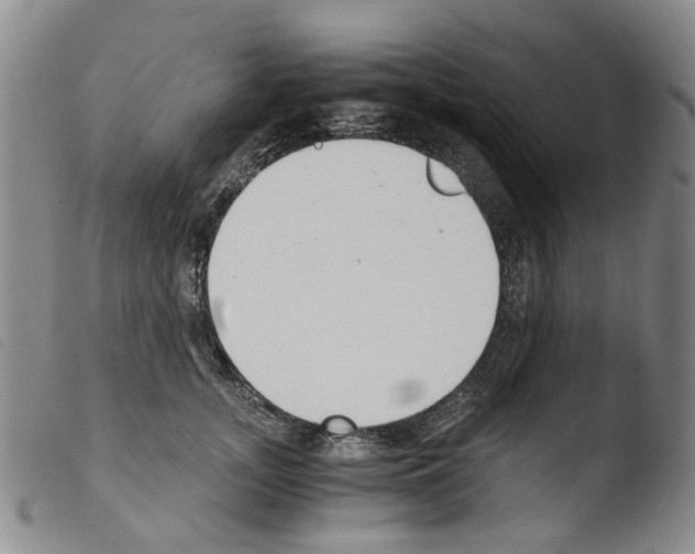 X0000103500755200810241125