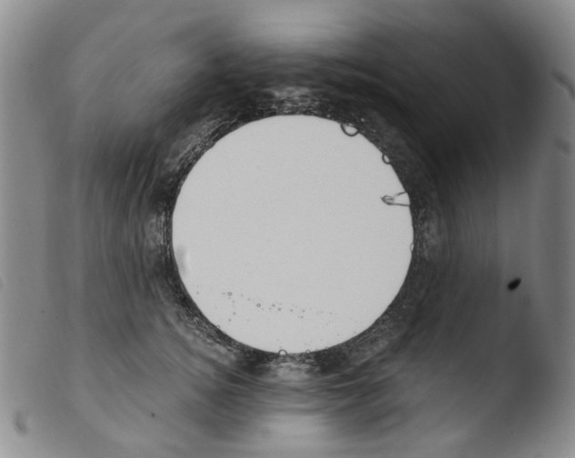 X0000103500756200810241125