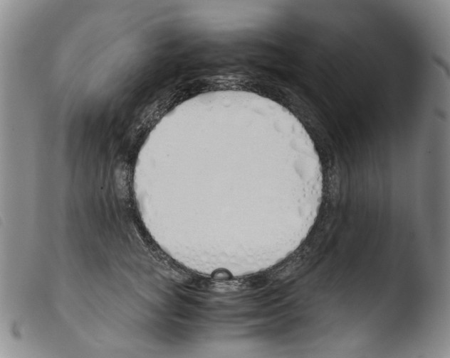 X0000103500757200810241125