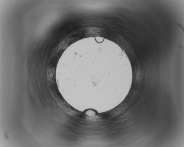 X0000103500759200810241125