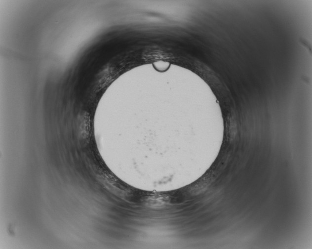 X0000103500760200810241125