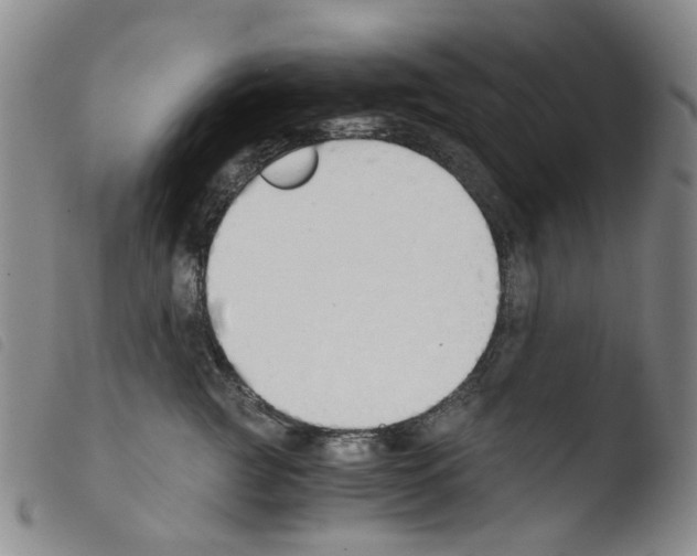 X0000103500761200810241125