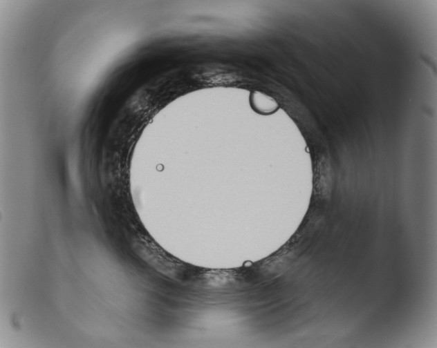 X0000103500762200810241125