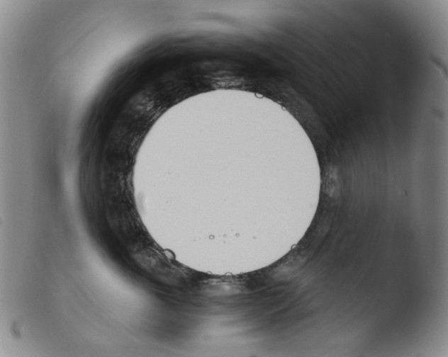 X0000103500763200810241125