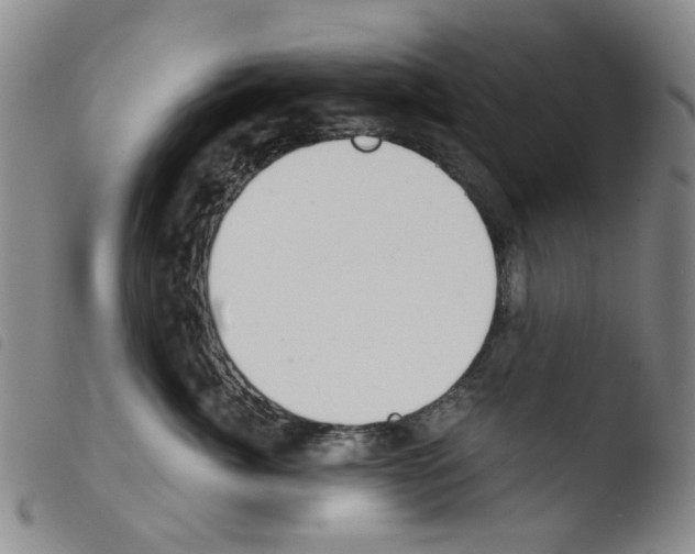 X0000103500764200810241125