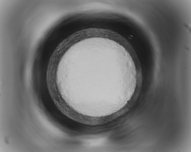 X0000103500765200810241125