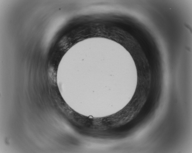 X0000103500766200810241125