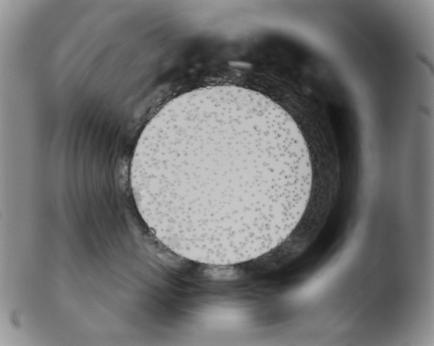 X0000103500767200810241125