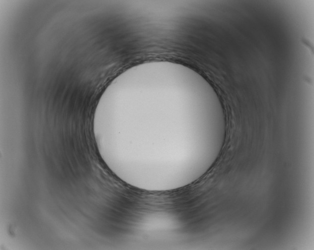 X0000103500768200810241125