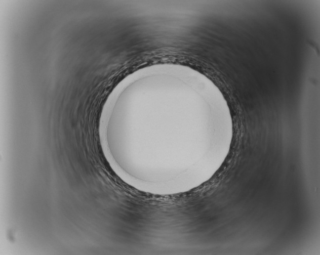 X0000103500769200810241124