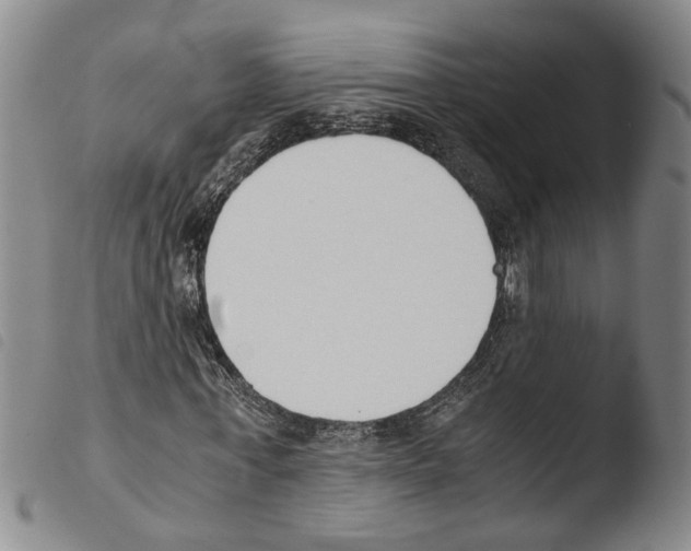 X0000103500771200810241124