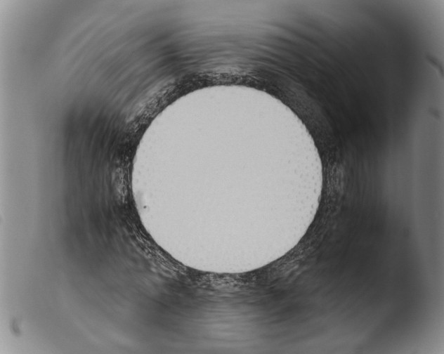 X0000103500774200810241124