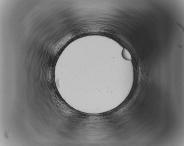 X0000103500777200810241124