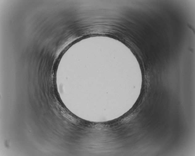 X0000103500779200810241124