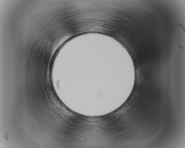 X0000103500780200810241124