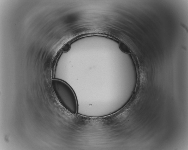 X0000103500781200810241124