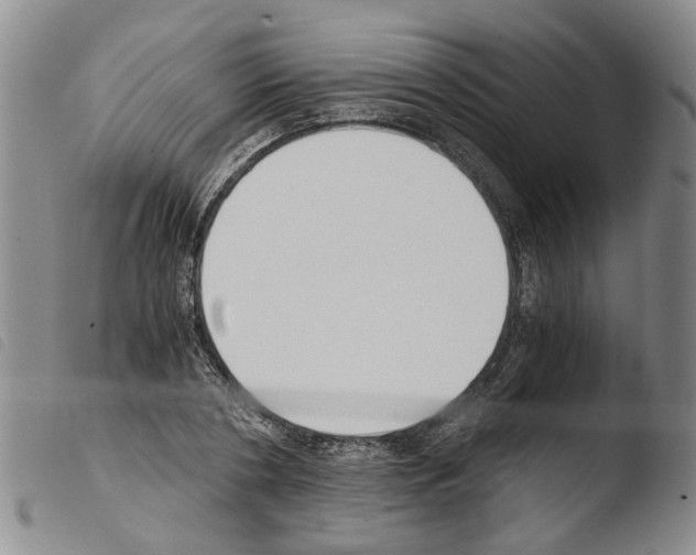 X0000103500786200810241124