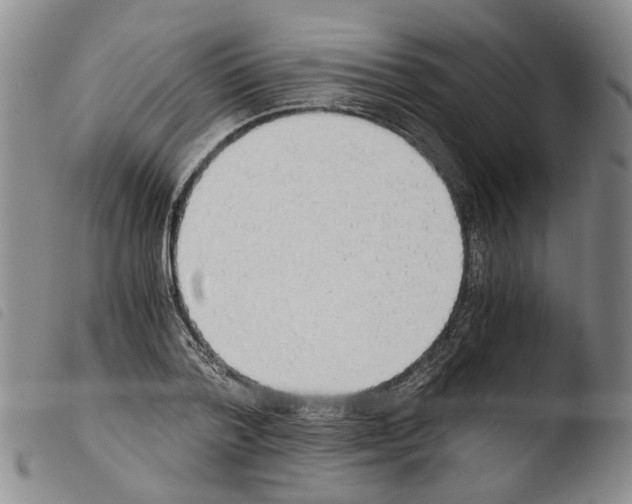 X0000103500788200810241124