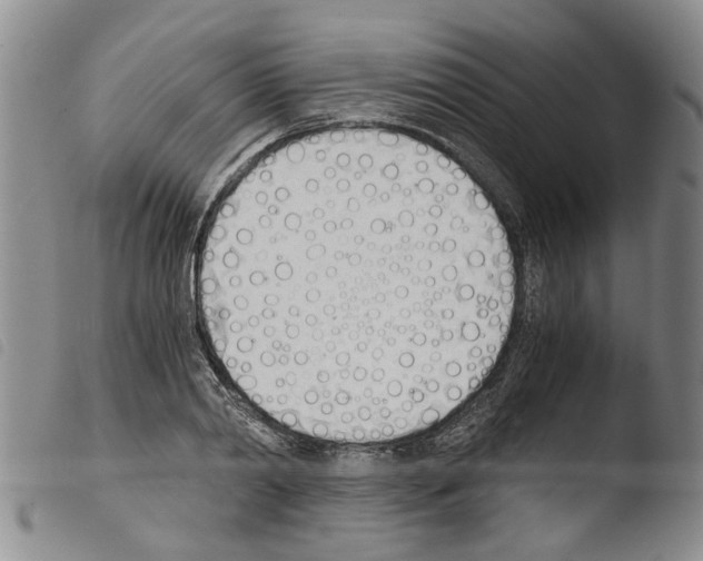 X0000103500790200810241124